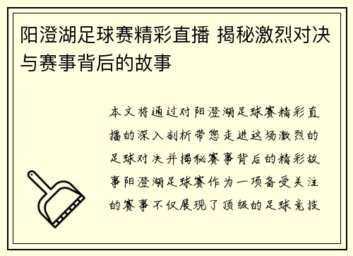 阳澄湖足球赛精彩直播 揭秘激烈对决与赛事背后的故事
